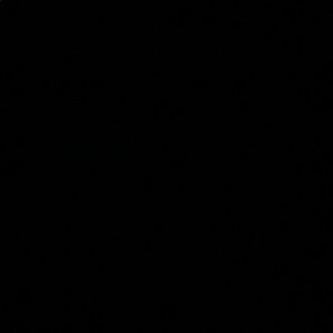 Meet your Posher, Bryn